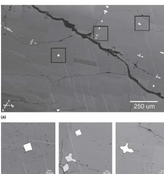 FIG. 2. (a) Composite scanning electron microscopy (SEM) image of the same Gd5Si2Ge2 sample after thermal cycling; (b)–(d) close-up viewsof different regions.