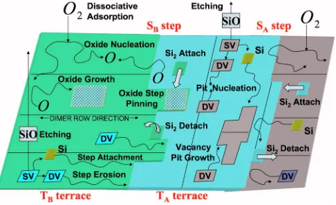 FIG. 1. �Color online� Schematic of key atomistic processes��