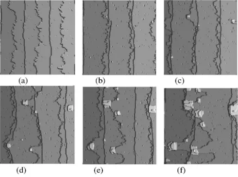 FIG. 4. Simulated images �the subsequent pinning by oxide islandsregionssurface morphologies.gies after etching of 0.5, 1, 1.5, 2, 2.5 layers of Si at 550 °C withat 550 °C with terraces ascending from left to right separated byalternating roughP�−8 O2100�1