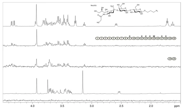 Fig. 3. FH binds the nonhuman Neu5Gc variant of sialic acid. From top: Proton 1D reference spectrum of Neu5Gcα2-3Galβ1-4Glcβ-propyl-N 3 (glycolyl-3’SL- (glycolyl-3’SL-ProN 3 , chemical structure shown; Neu5Gc differs only by one additional OH-group in the 