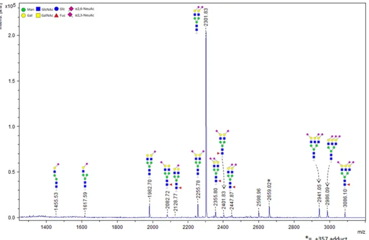 Table I. Relative abundances of ethyl esteri ﬁed glycans compared to HPCE-LIF analyzed APTS derived glycans a