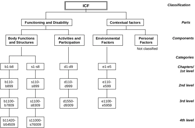 Figure 2: Structure of the International Classification of Functioning, Disability and Health 