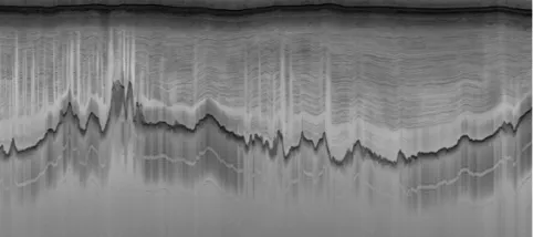 Fig. 1. Sample radar echogram of an ice sheet, including thesurface (very dark line near the top) and bedrock (dark erraticline near the middle) layer boundaries, along with weaker re-turns from contiguous layers of ice between the two.