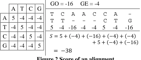 Figure 2 Score of an alignment 