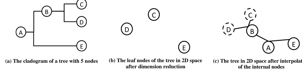 Figure 3 The illustration of a phylogenetic tree in a 2D space 