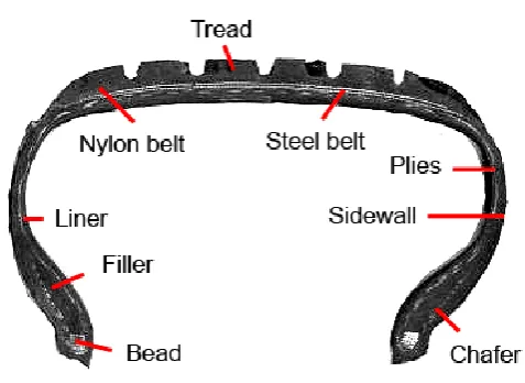 Fig- 2 : Internal structure of Tyre 