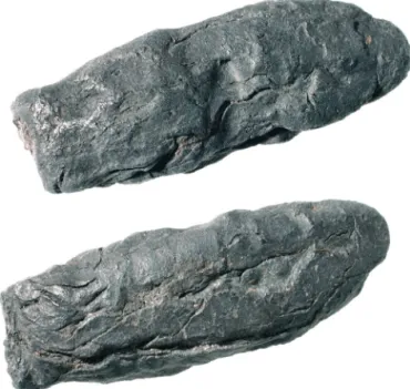 Figure 13.1 Piece of birch bark tar (no. 8005) viewed from two sides  (scale 1:1).