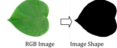 Fig -1: Shape detection using Erosion method  