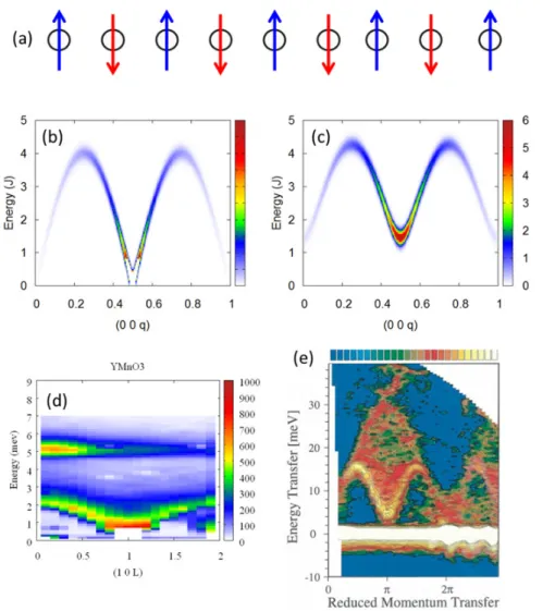 Figure 2. Spin dynamics in a simple two sublattices antiferromagnet. (a) displays the antiferromagnetic chain