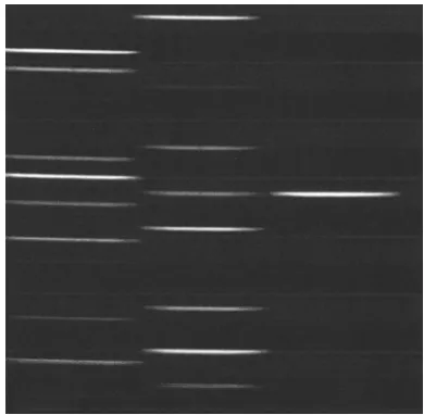 FIG. 3. Hg-lamp spectrum from the two-dimensional CCD array detector.
