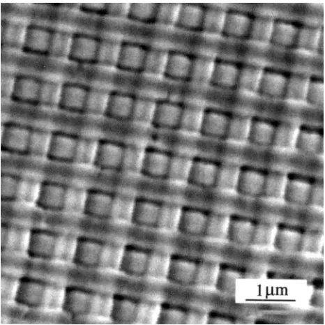 FIG. 5. SEM picture of a four-layer sol-gel inﬁltrated 1 �m structure aftercalcination.