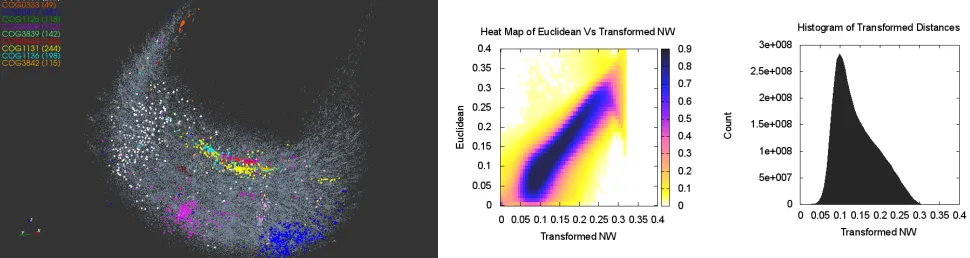 Figure 1: (left) MDS representation of the 100,000 sequences from well-characterized COGs in prokaryotic