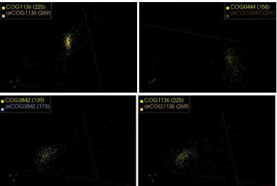 Figure 5: 3D view of selected COG clusters (yellow) and the archaeal proteins from those clusters