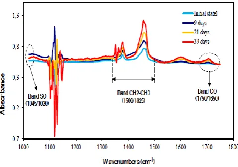 Figure 2: FTIR spectra of a pure asphalt aged 