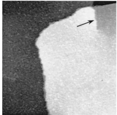 FIG. 1. STM image (100�terrace structure. The arrow indicates a screw dislocation; these areoften observed on the 5100 nm2) showing the typical step-f i-Al-Cu-Fe surface.4