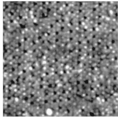 FIG. 5. High resolution STM image (20�Pd-Mn 5similar to those of Figs. 2 and 3, and with the same experimental20 nm2) of an i-Al-f surface, obtained under experimental conditions veryapparatus.