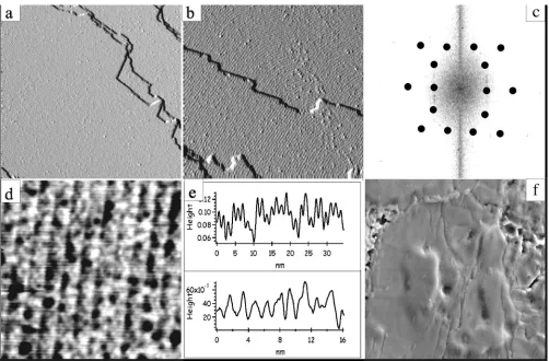 FIG. 12. a-d��image (8.5150 nm STM images showing the terraced morphology and some ﬁne structure for the T-approximant of Al-Pd-Mn