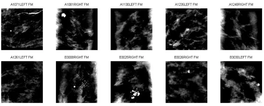 Figure 5. ROI’s of the original images (A1248, A1235, A1130, A1081, A1071, B3030, B3026, B3025, B3008, A1261)
