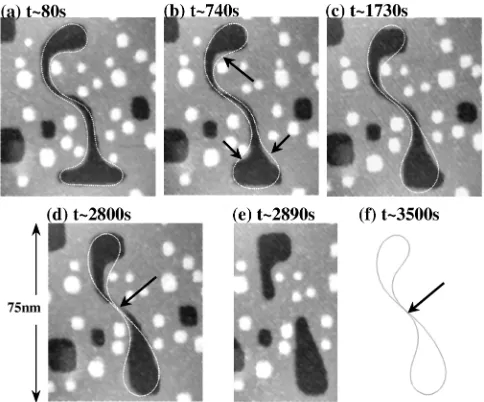 Figure 2 presents a sequence of composite images