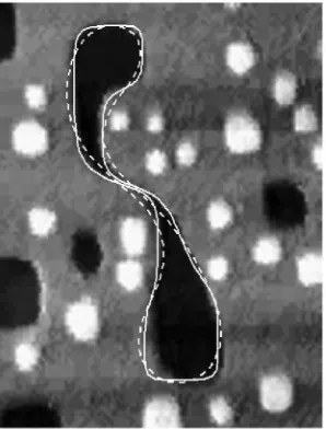 FIG. 3.Comparison between the vacancy cluster from experi-ment (gray-scale image), the isotropic continuum model (dashedline), and the continuum model with Ising line tension and con-stant sPD (solid line).