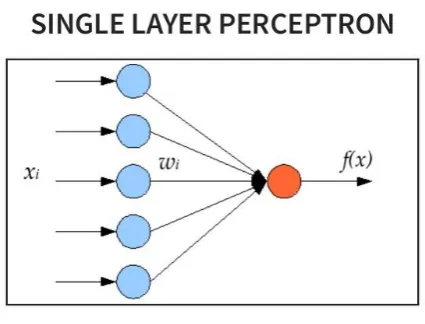 Fig - 5: Multilevel Perceptron 