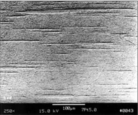 Figure 1b SEM, BSE micrograph of a transverse section of theAu-7%Pt DMMC wire, � =5.0