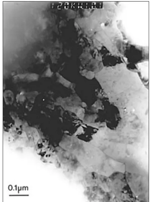 Figure 3 Transmission electron micrograph of Au-7vol%PtDMMC (� =9.3) viewed in transverse section
