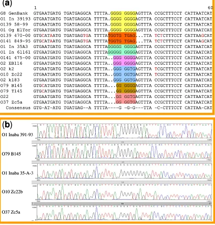 Figure 3: Sequence alignment (a) and corresponding electropherogram (b) of representatives isolates of 
