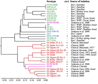 Figure 4: Dendrogram presenting the variation among 32 V. cholerae isolates constructed by UPGMA 