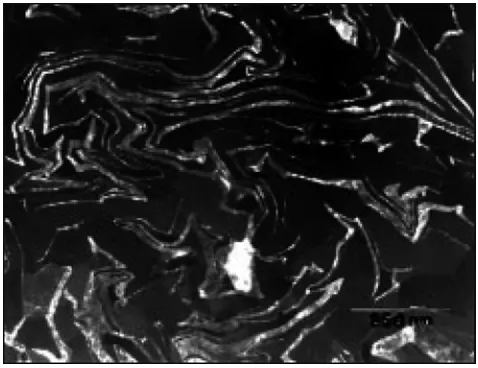 Figure 1 TEMmicrograph ofa Cu-20Nb DMMCat a truestrain of9 sectioned transverselyandphotographedinconical scan dynamic dark f1eldconditions to show theNb f1laments as the lightgrey phase and the Cumatrix as the dark greyphase