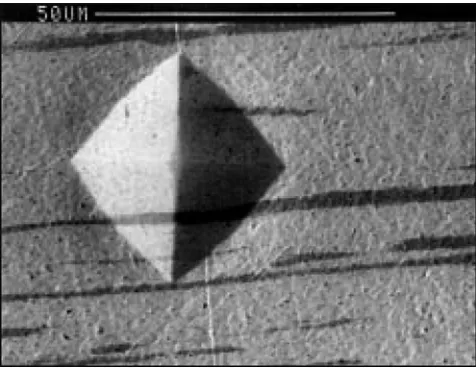 Figure 3 SEMmicrograph ofa longitudinalsection ofthe Au-Ag composite wire (YJ=3.7). The darker bands aresilver filaments in the (lighter) goldmatrix in thisback-scattered electron image