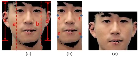 Fig -3: Image Size Adjustment: (a) Input image (b) Grayscale original image size adjustment result (c) Skin color detection image size adjustment result