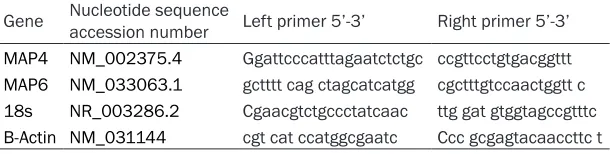 Table 1. Primer sets for MAP4 and MAP6 used in real-time PCR. The de-sign was based on ensemble transcript ID of the Human Probe Library