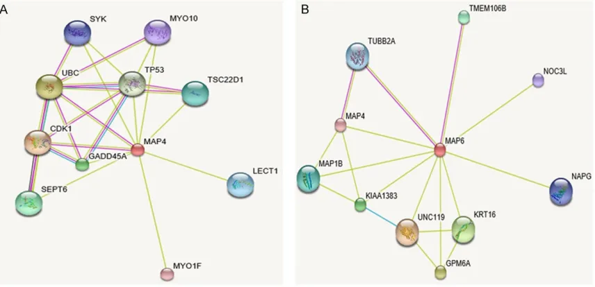 Figure 2. STRING interaction network showing an association between differentially expressed proteins