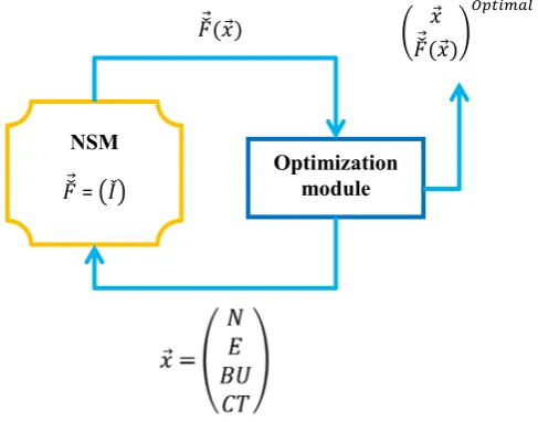 Figure 3: Optimization workflow using a NSM
