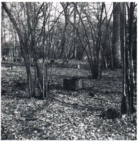 Figure 1. Photo of the oak forest with Quercus robur and Corylus avellana also showing litter traps and a rain gauge