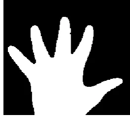 Fig-7 shows the binary image of the user’s hand where the where it is used to find the contours