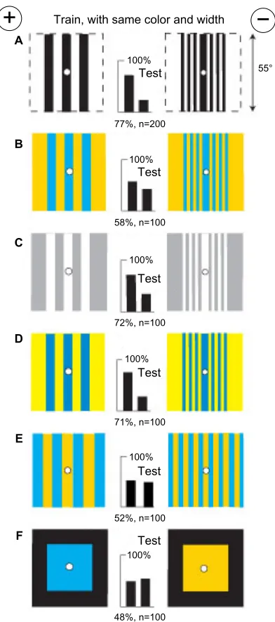 Figure 11 Black and white patterns of equal blue content and contrast were distinguished by a green modulation difference.Notes: (A) Training patterns