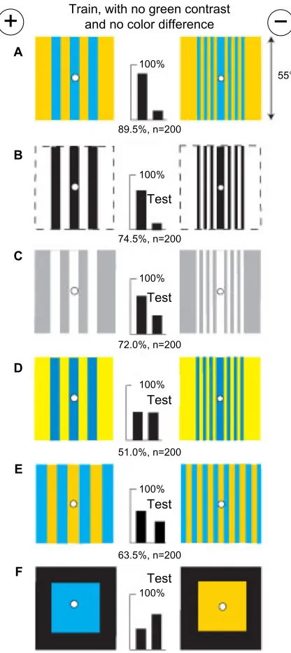 Figure 12 gratings with equal blue contrast and blue content but no green contrast were discriminated by a difference in blue modulation.Notes: (A) Training patterns; bees must learn the difference in blue modulation