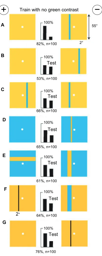 Figure 5 gratings with equal color content and width, and equiluminant to the green receptors were distinguished by different amounts of total blue modulation, not pattern.Notes: (A) Training patterns