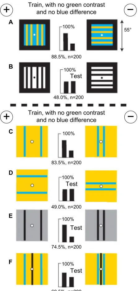 Figure 7 green modulation canceled blue modulation and bees measured angular width between two vertical bars with blue modulation.Notes: (A) Training patterns with a difference in blue modulation but no green contrast or color difference