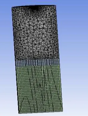 Fig 3. Meshed model of the setup 