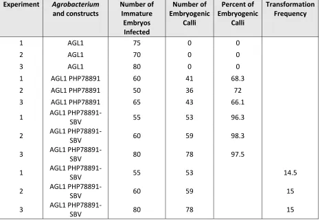 Table 5. Somatic Embryogenic Response and Transformation Frequency in maize B73 using AGL1 with Vectors PHP78891 and PHP78891-SBV (Mookkan et al., 2017) 