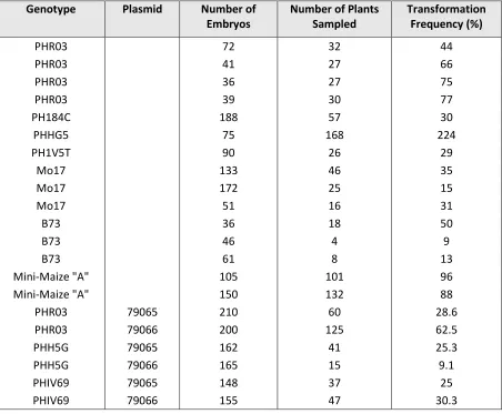 Table 6. Transformation frequency of five inbred lines, Mini-Maize, B73, and Mo17 (Lowe et al., 2018) 