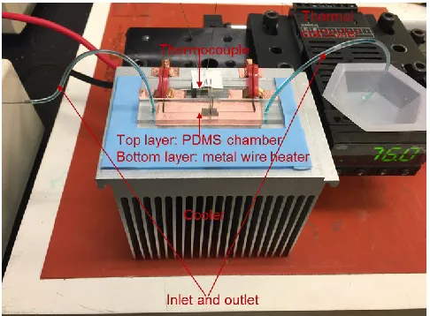 Figure 4. Microfluidic device of static chambers PCR 