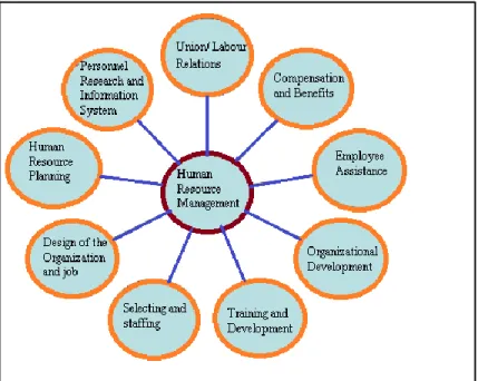 Figure 1: Human Resources Functions 