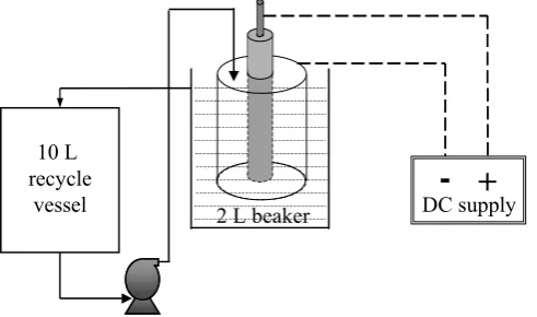 Fig. 12. Bench scale electrolytic scale removal system. 