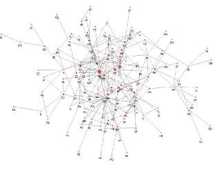 Figure 3 Concentric map of functional network 