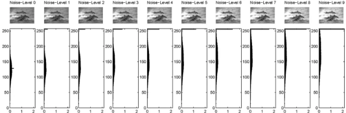 Figure 3.8 : Histograms of intensity values in an example picture. The original image “dol- “dol-phins” (top row) together with its histogram is shown on the left side
