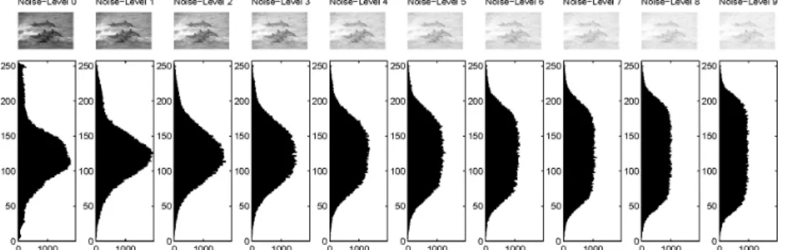 Figure 3.9 : Histograms of intensity values in an example picture. The original image “dol- “dol-phins” (top row) together with its histogram is shown on the left side